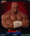 Sagat Victory