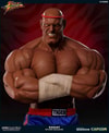 Sagat Victory Exclusive Edition 