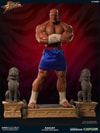 Sagat Victory