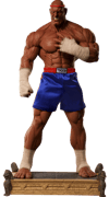 Sagat Victory