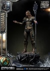 Aquaman Collector Edition (Prototype Shown) View 19