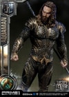 Aquaman Collector Edition (Prototype Shown) View 20