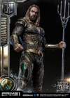Aquaman Collector Edition (Prototype Shown) View 24