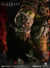 Grom Hellscream (Prototype Shown) View 8