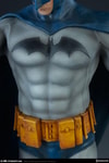 Batman Blue Version Exclusive Edition (Prototype Shown) View 2