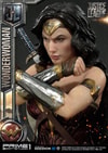 Wonder Woman (Prototype Shown) View 9