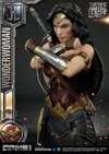 Wonder Woman (Prototype Shown) View 10