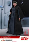 Leia Organa- Prototype Shown