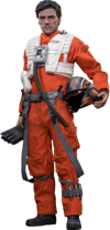 Poe Dameron™ (Prototype Shown) View 21