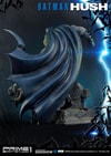 Batman Collector Edition (Prototype Shown) View 31