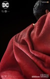 Superman (Prototype Shown) View 11