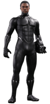 Black Panther (Prototype Shown) View 31