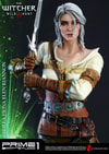 Ciri of Cintra Collector Edition (Prototype Shown) View 2