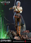Ciri of Cintra Collector Edition (Prototype Shown) View 7