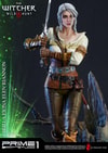 Ciri of Cintra Collector Edition (Prototype Shown) View 11