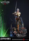 Ciri of Cintra Collector Edition (Prototype Shown) View 12