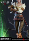 Ciri of Cintra Collector Edition (Prototype Shown) View 14