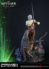 Ciri of Cintra Collector Edition (Prototype Shown) View 20