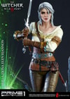 Ciri of Cintra Collector Edition (Prototype Shown) View 23