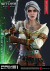 Ciri of Cintra Exclusive Edition (Prototype Shown) View 3