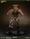 Guile Collector Edition (Prototype Shown) View 17