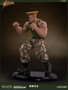 Guile Collector Edition (Prototype Shown) View 16