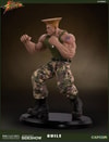 Guile Collector Edition (Prototype Shown) View 16