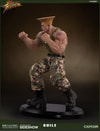 Guile Collector Edition (Prototype Shown) View 15