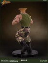 Guile Collector Edition (Prototype Shown) View 12