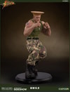 Guile Collector Edition (Prototype Shown) View 7