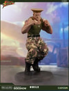 Guile Collector Edition (Prototype Shown) View 6