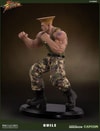 Guile Exclusive Edition View 15