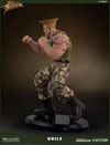 Guile Exclusive Edition View 14