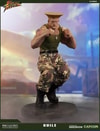 Guile Exclusive Edition View 17