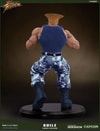 Guile Player 2 View 9