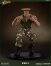 Guile Ultimate View 20