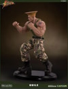 Guile Ultimate View 24