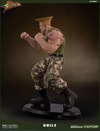 Guile Ultimate View 25