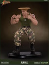 Guile Ultimate View 14