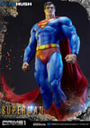 Superman Fabric Cape Edition (Prototype Shown) View 20