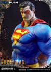 Superman Fabric Cape Edition (Prototype Shown) View 25