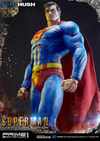 Superman Fabric Cape Edition (Prototype Shown) View 28