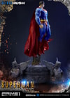 Superman Fabric Cape Edition (Prototype Shown) View 17