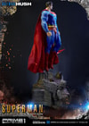Superman Fabric Cape Edition (Prototype Shown) View 2