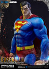 Superman Fabric Cape Edition (Prototype Shown) View 8