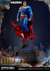 Superman Fabric Cape Edition (Prototype Shown) View 7