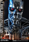 T-800 Endoskeleton The Terminator