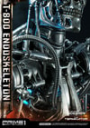 T-800 Endoskeleton The Terminator