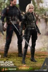 Black Widow