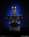 Endoskeleton (Prototype Shown) View 1